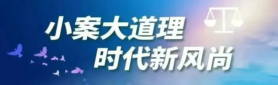 tp监控头怎么样_如何利用TP-Link摄像头进行监控分析？_监控摄像头tplink好不好