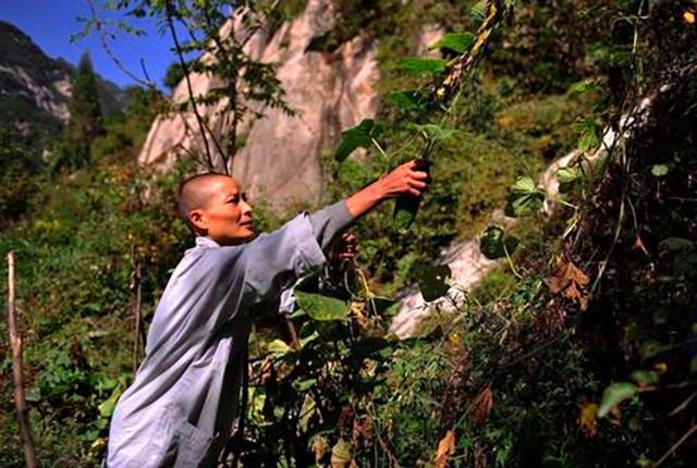 姜子牙隐居在哪座山_姜子牙归隐_姜子牙的隐居生活与修行故事