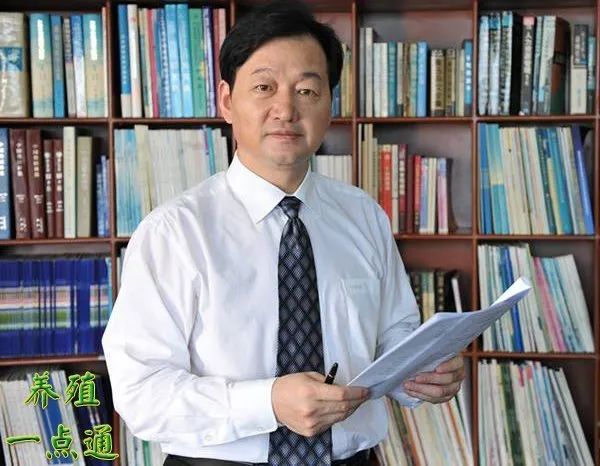 平衡事业与家庭有多难_平衡事业和家庭生活的意义_秦英林的家庭与事业的平衡